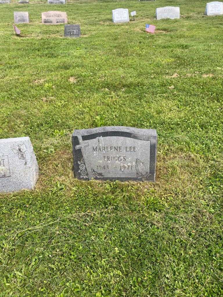Marlene Lee Triggs's grave. Photo 2