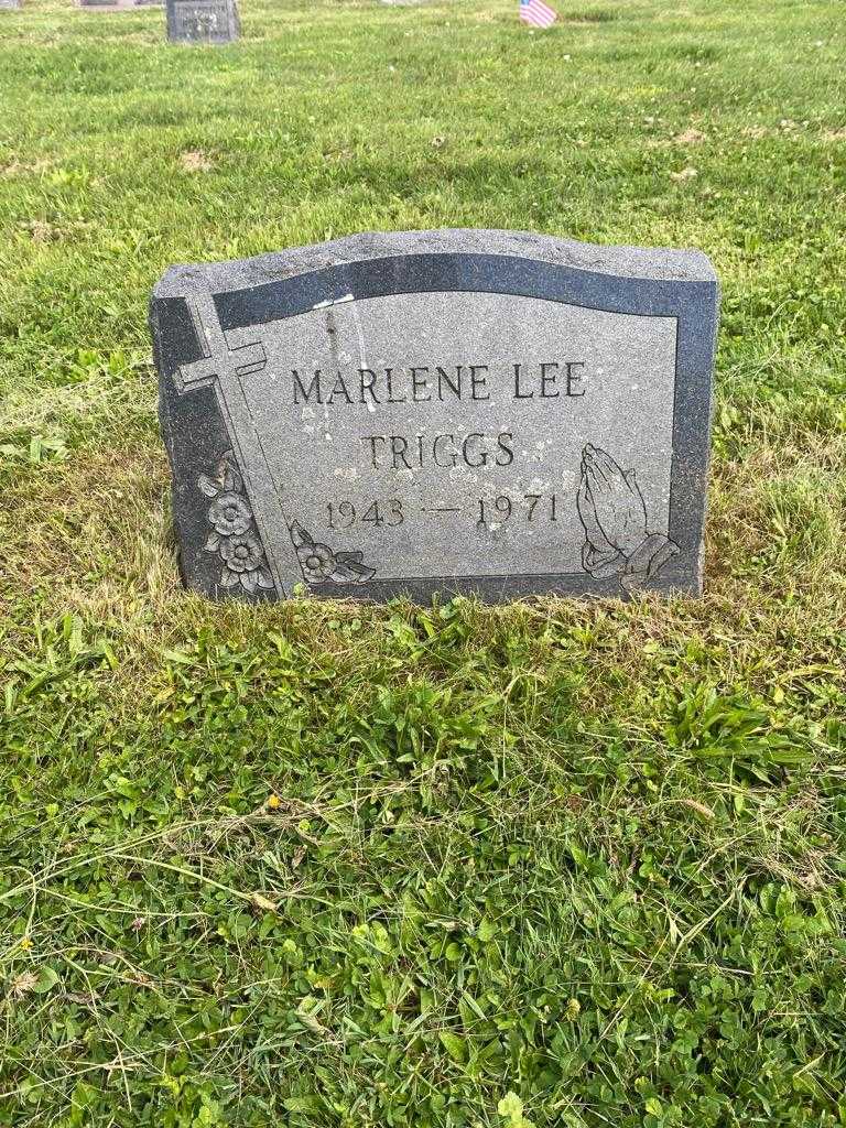 Marlene Lee Triggs's grave. Photo 3