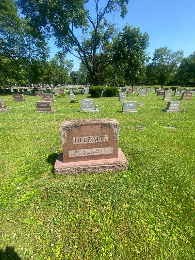 Ray A. Herriman's grave. Photo 1