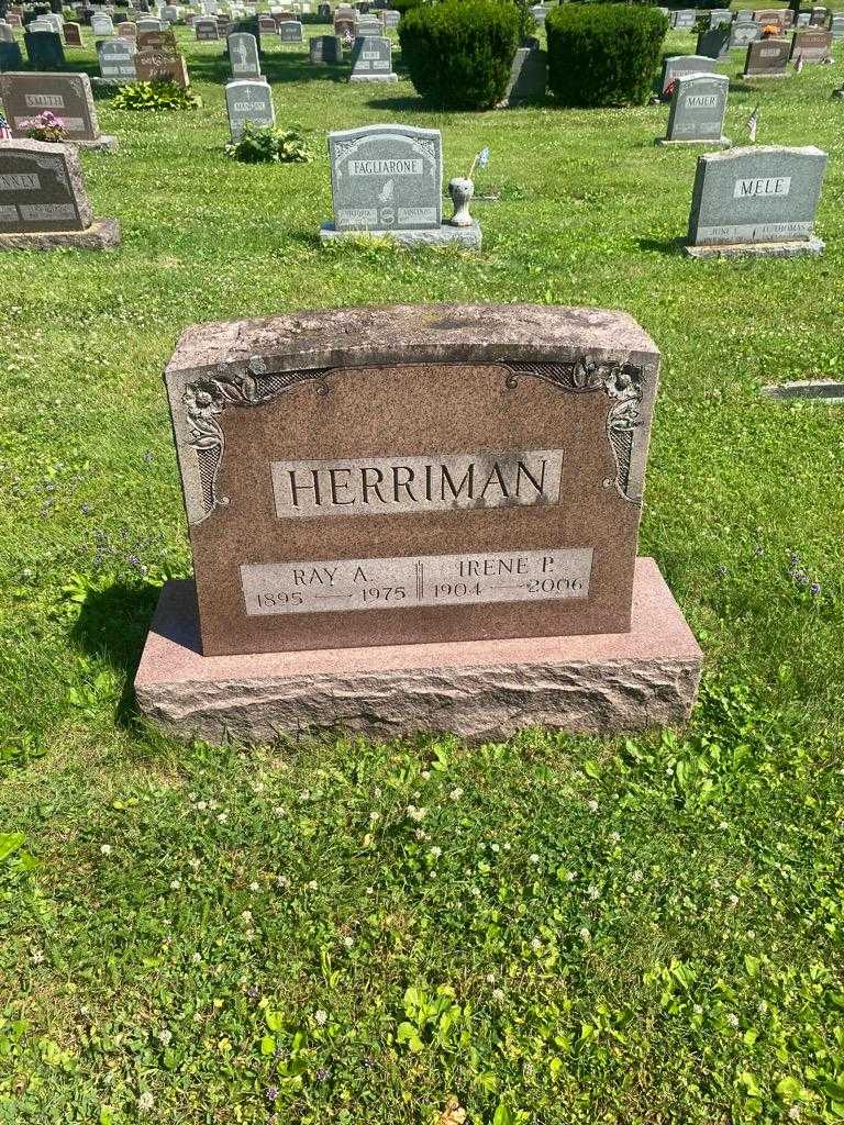 Ray A. Herriman's grave. Photo 2