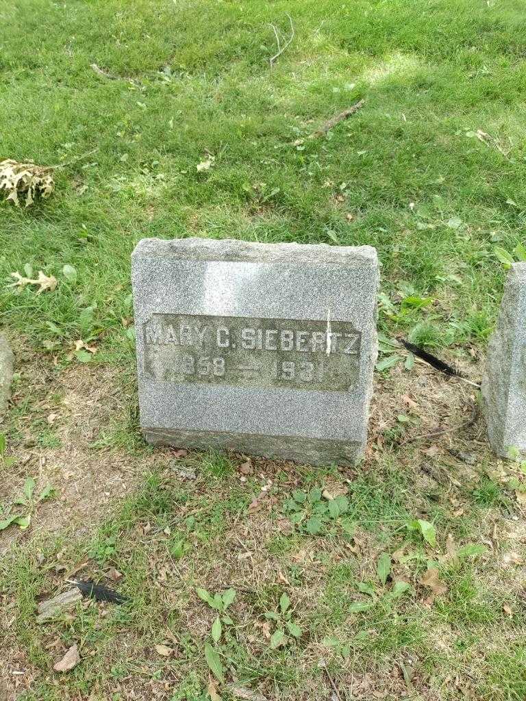 Mary C. Seibertz's grave. Photo 1