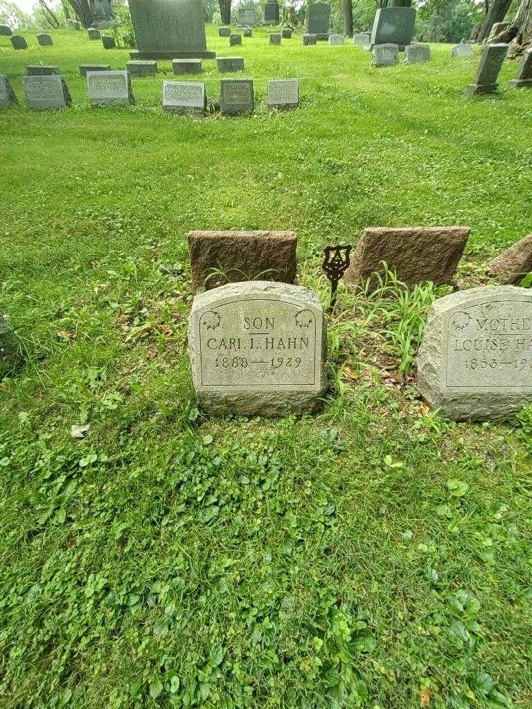 Carl L. Hahn's grave. Photo 2