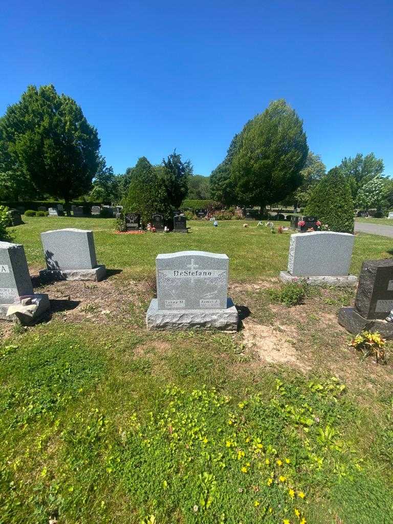 James J. DeStefano's grave. Photo 1