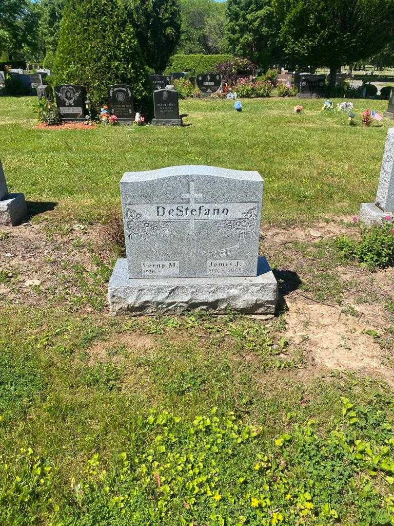 James J. DeStefano's grave. Photo 2