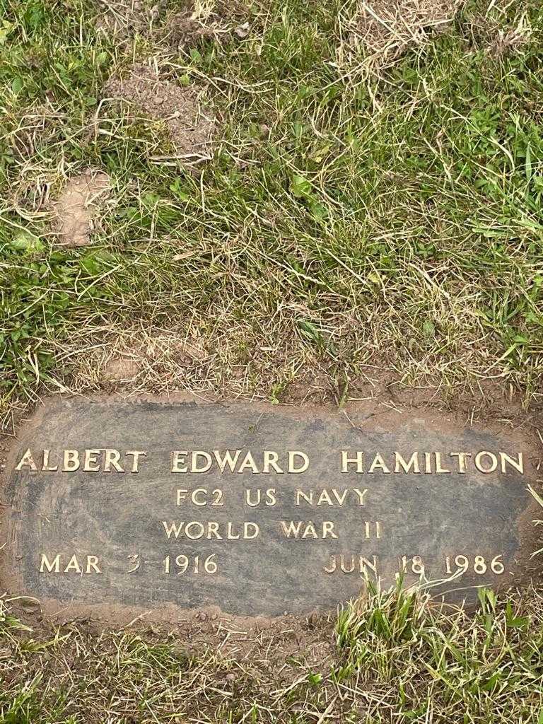 Albert Edward Hamilton's grave. Photo 3